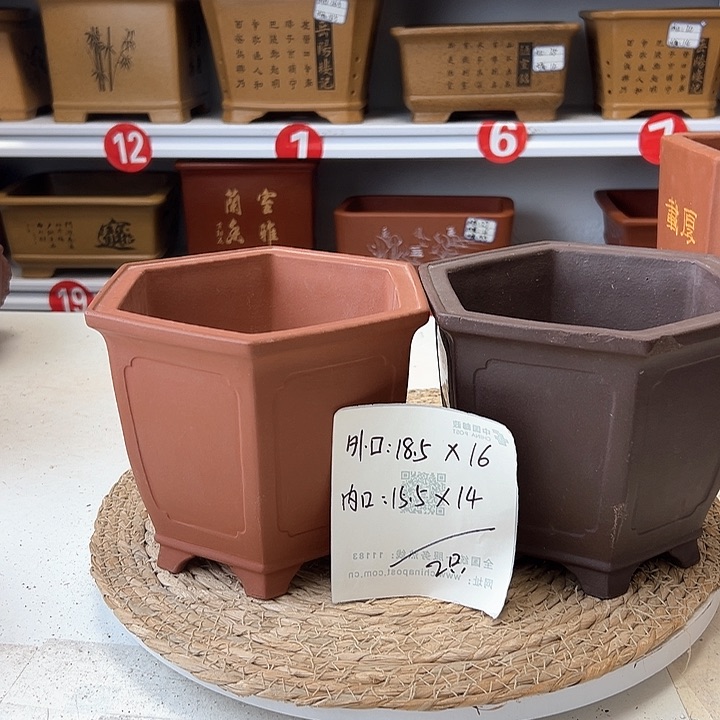 紫砂花盆蛇年大吉