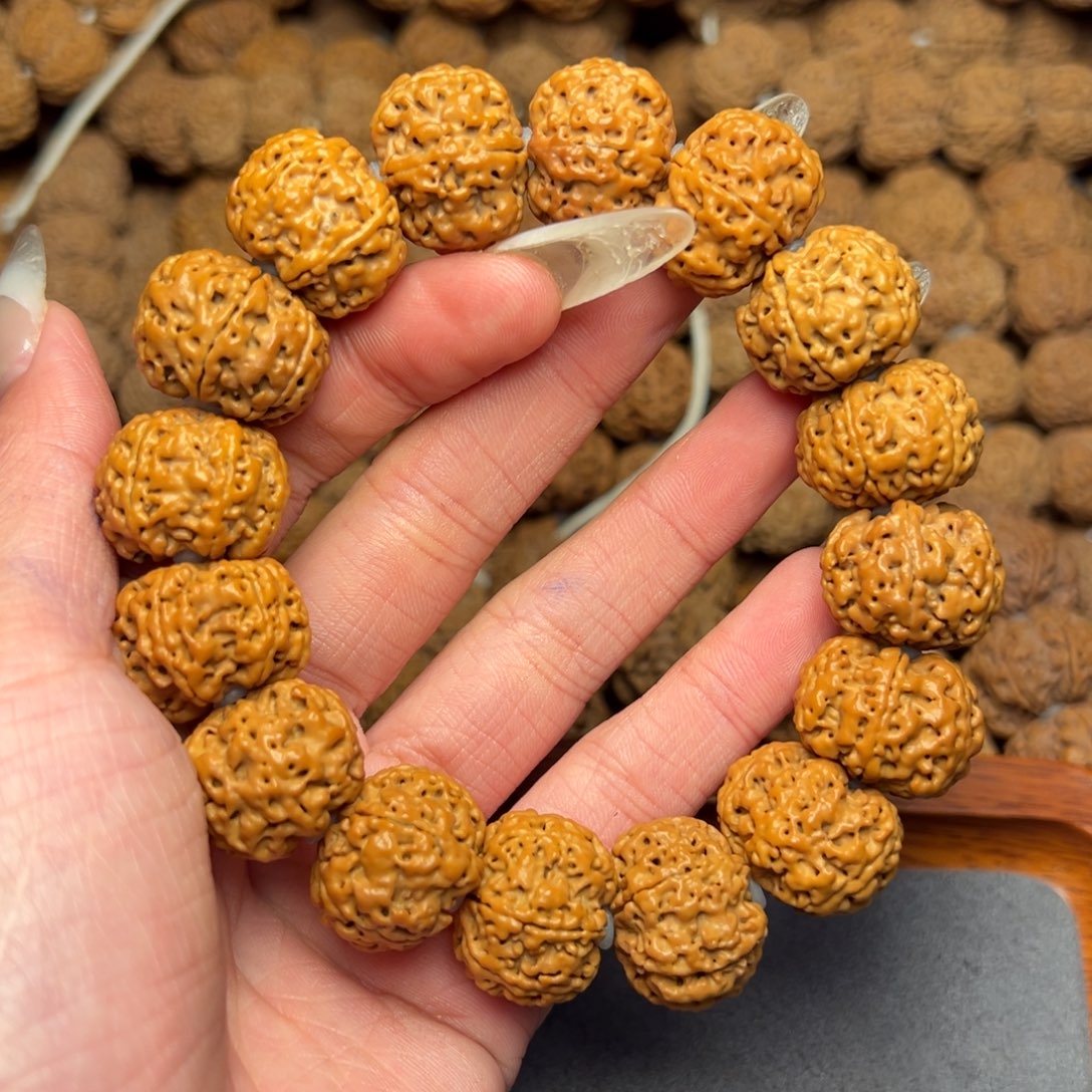 菩提1号尼泊尔大金刚21六瓣梅花蜂窝