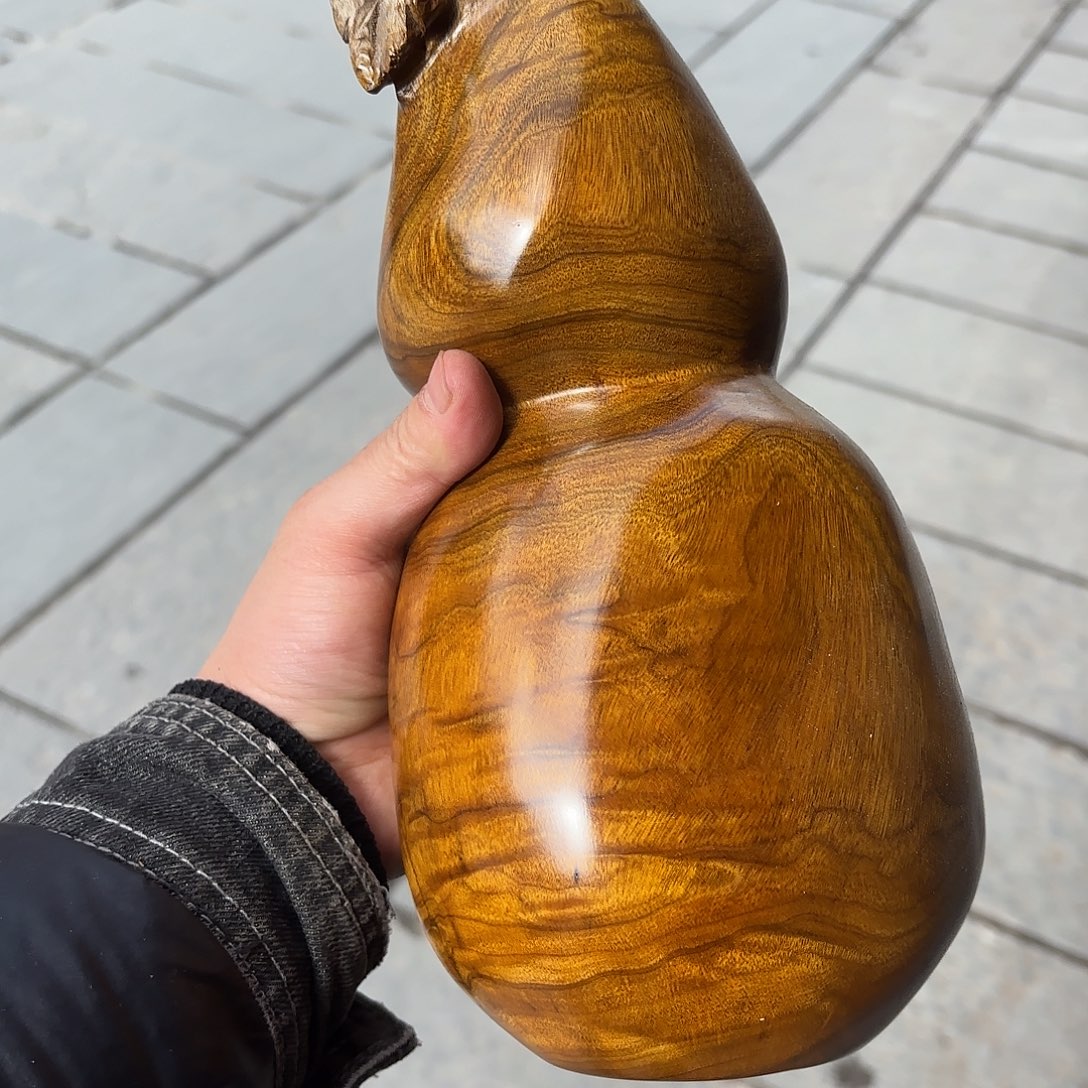 金丝楠港*小叶金丝楠木