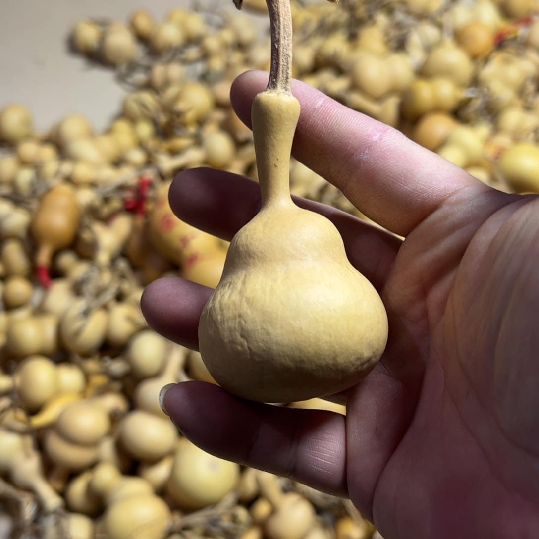 小***~大叶紫檀（黑酸枝木类）