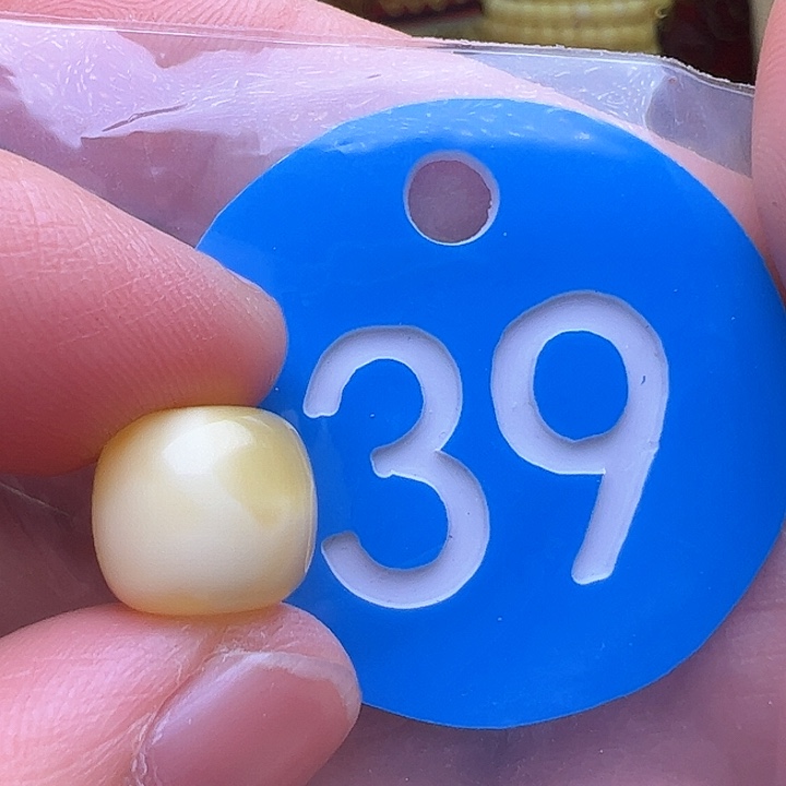 蜜蜡裸石未镶嵌10.6/9.6m m