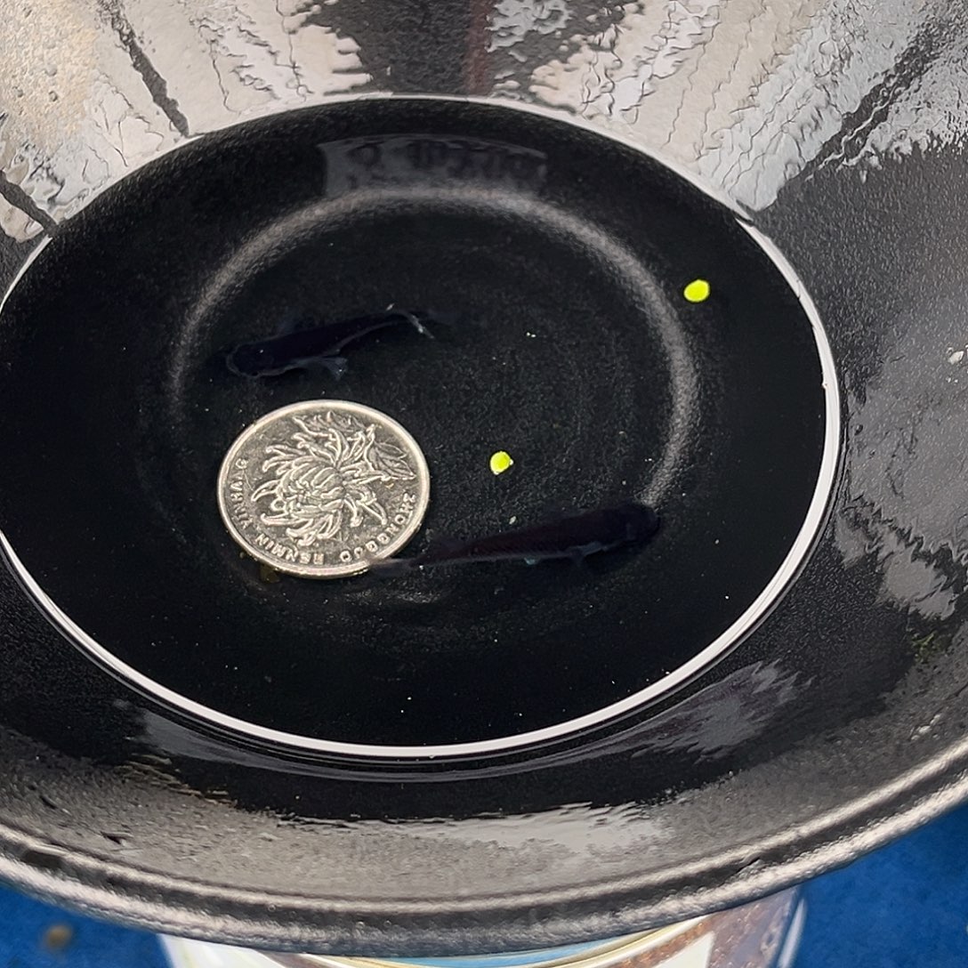 青鳉鱼曜变天目2条12号