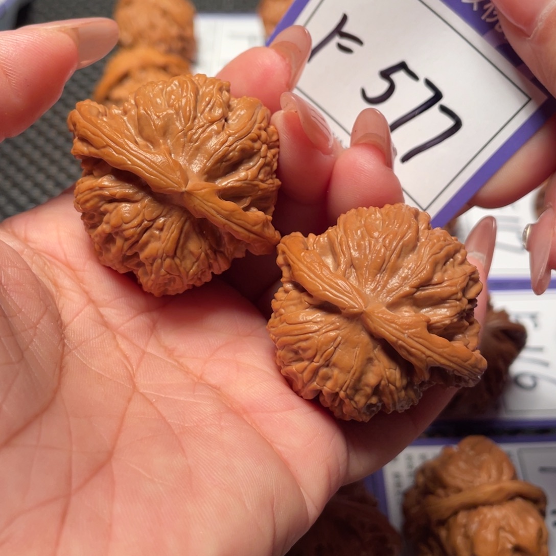 文玩核桃把件577号白狮子42