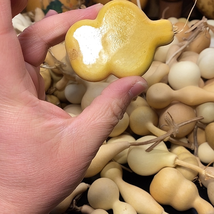 ～***迎精品葫芦手把葫芦28