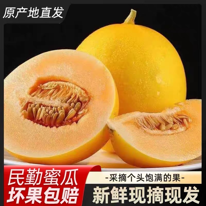 【甘肃民勤】沙漠蜜瓜黄河蜜甜瓜带箱新鲜水果当季整箱包邮