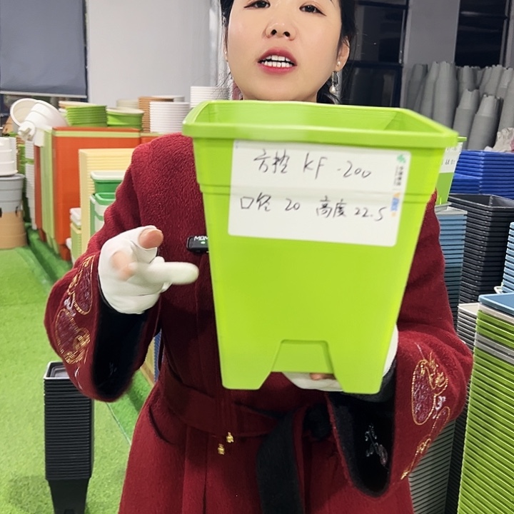 正品方盆口20高22果绿色6只无托