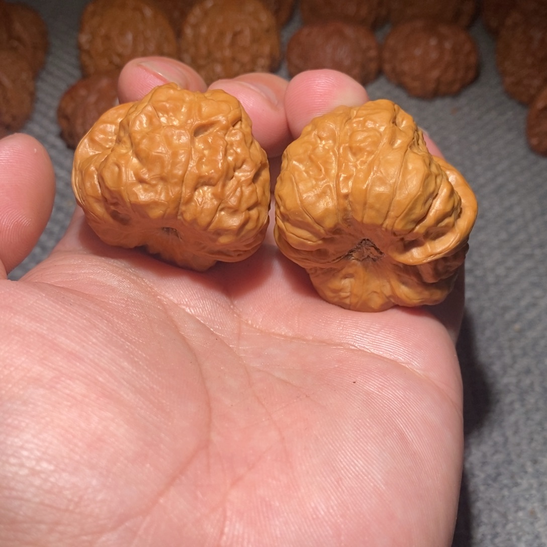 文玩核桃把件40蛤蟆