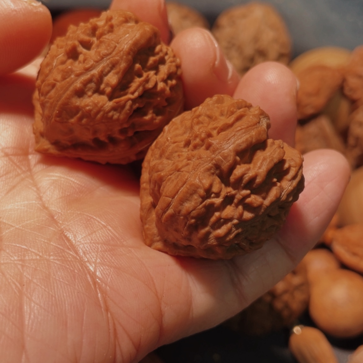 【闪购商品】把件文玩核桃半*。东北楸子15