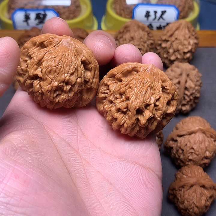 文玩核桃把件狮虎兽