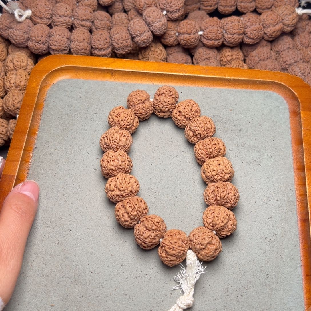 菩提18号金刚菩提梁梅花21