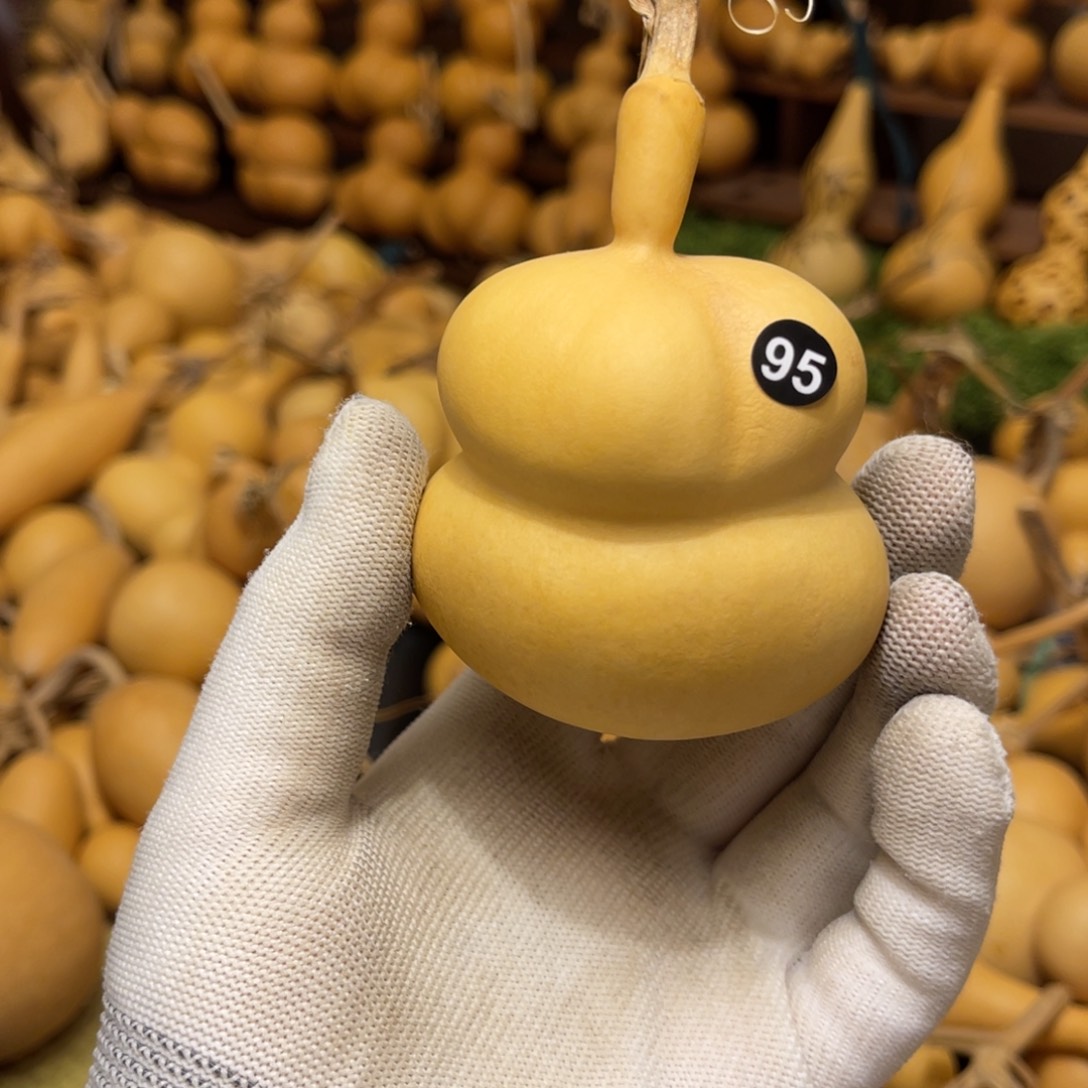 闪拍葫芦链接-95号品