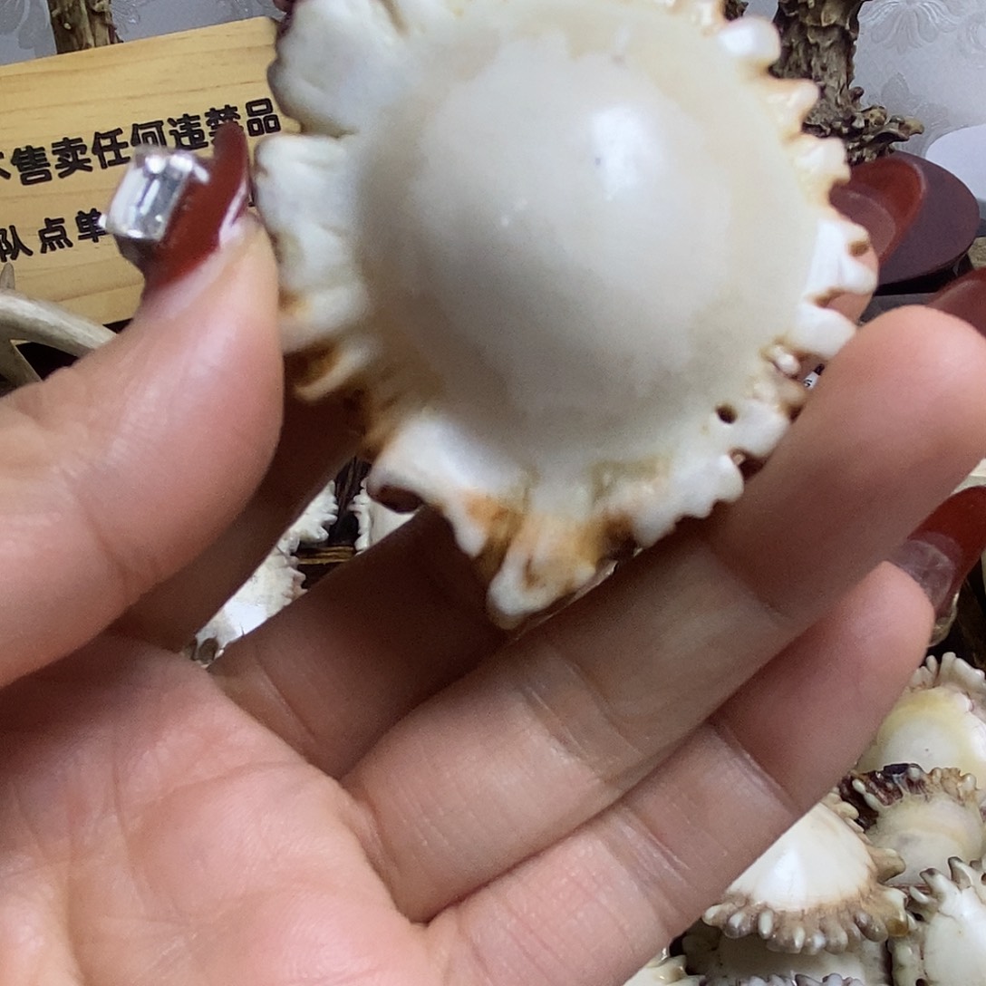 文***手串/手链鹿骨养殖鹿鹿角手把件
