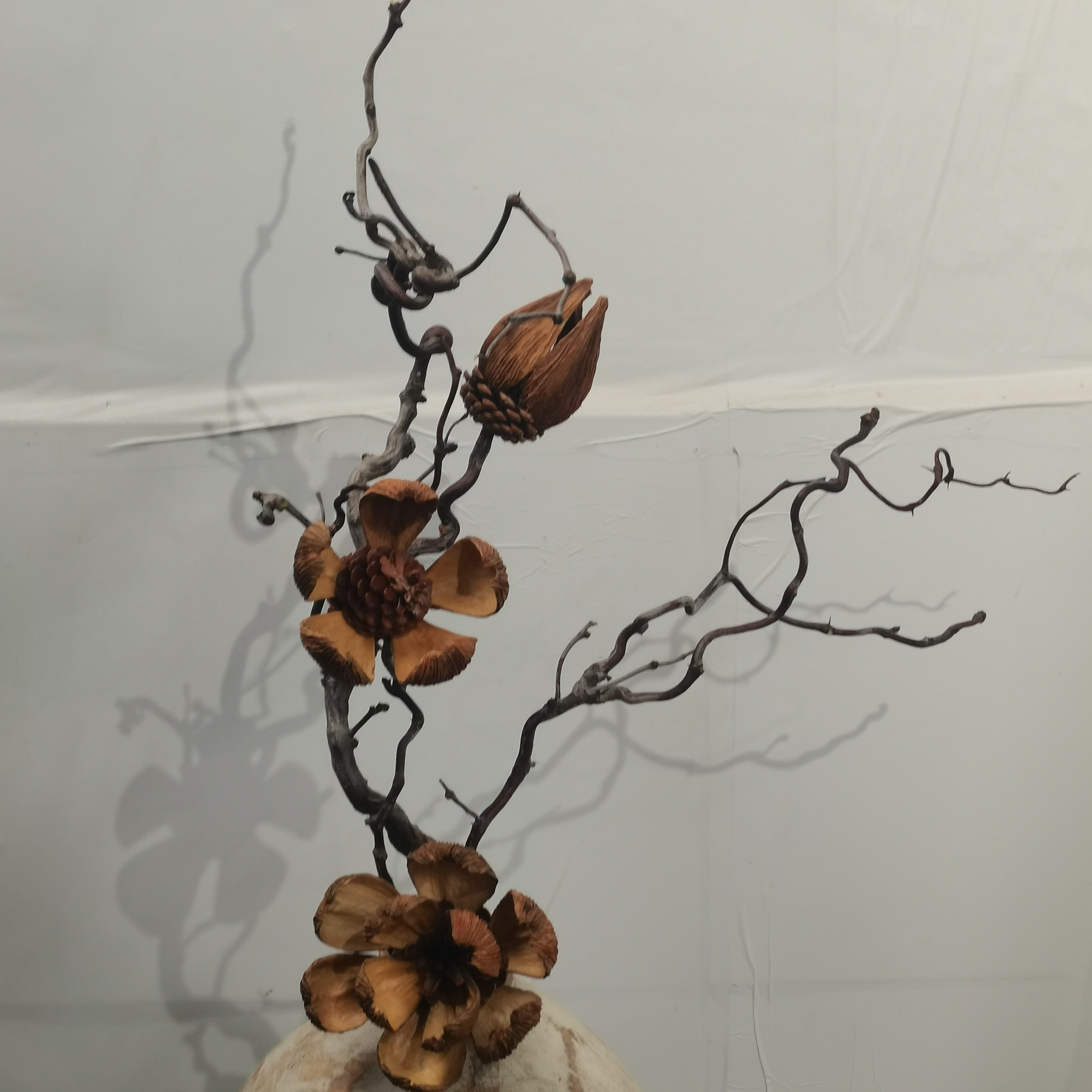 【不含瓶子】单独龙枣枝条造景、家居装饰、一物一拍，瓶子在4号链接