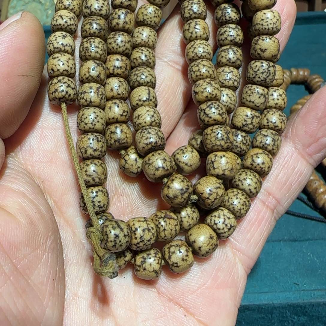 老老老老老老老老老老