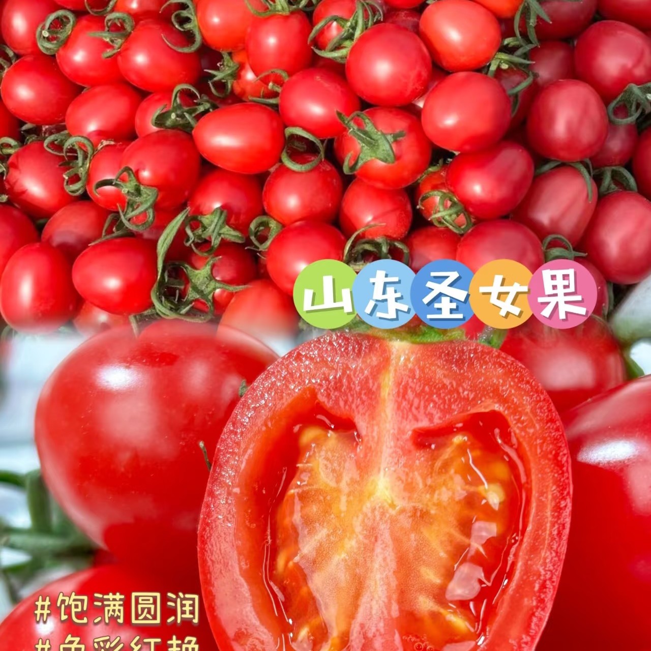 电白红黄双拼小柿子一盒二斤多千禧圣女果