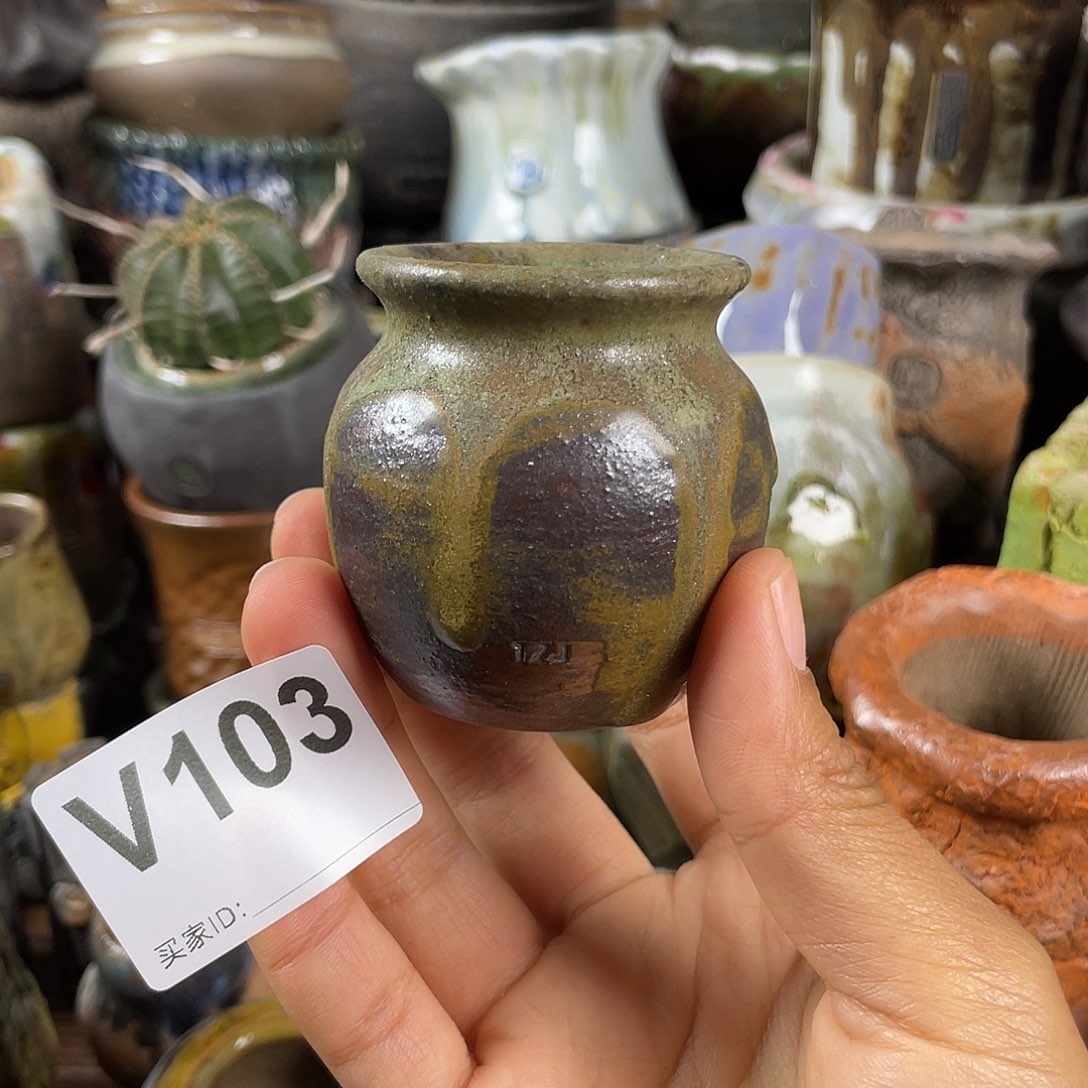 默认微次   限时福利 坛子姐花盆