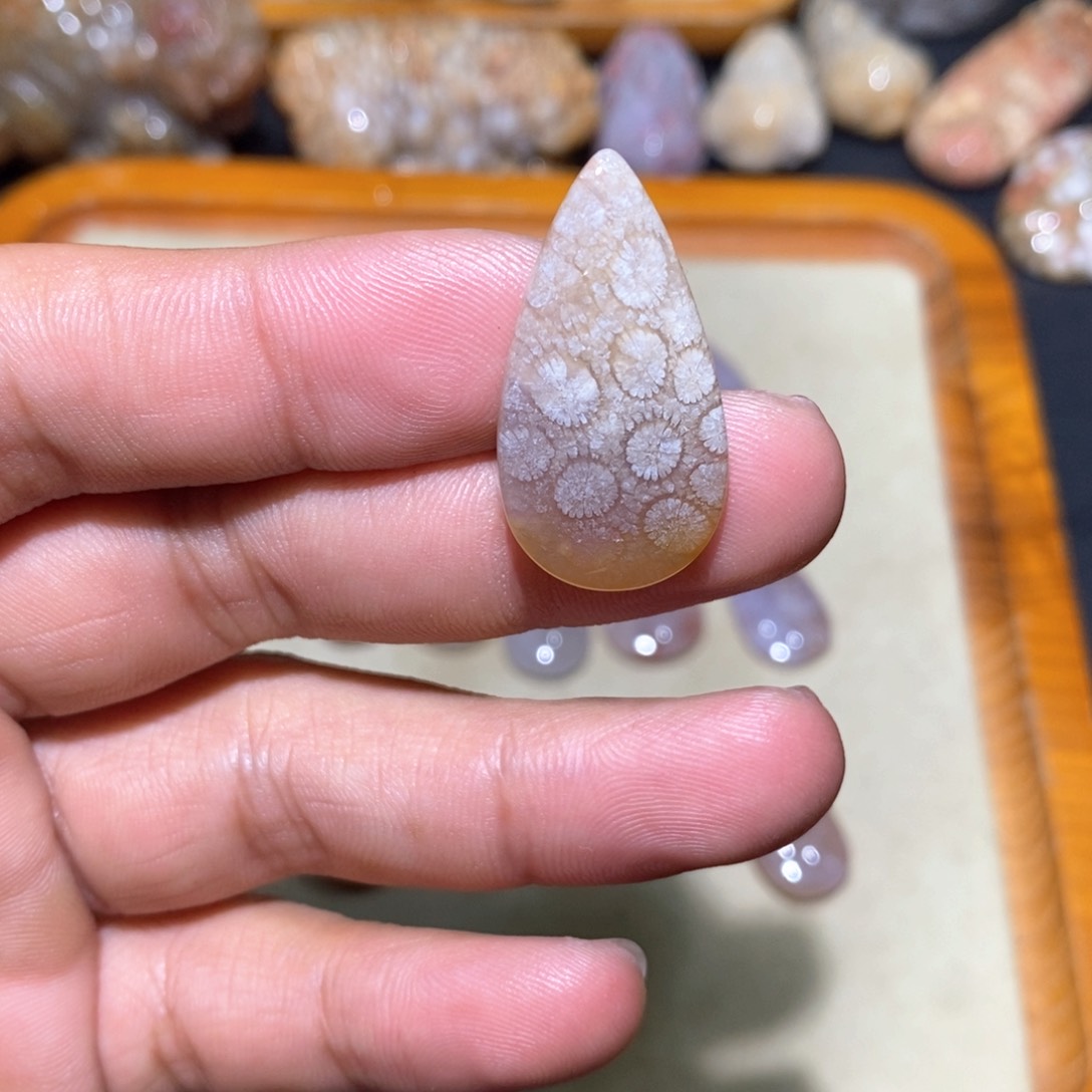 【闪购商品】硅化玉颈饰未镶嵌