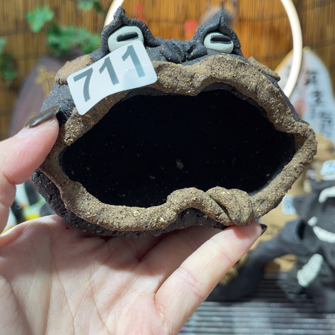 木村信弘柴烧保平