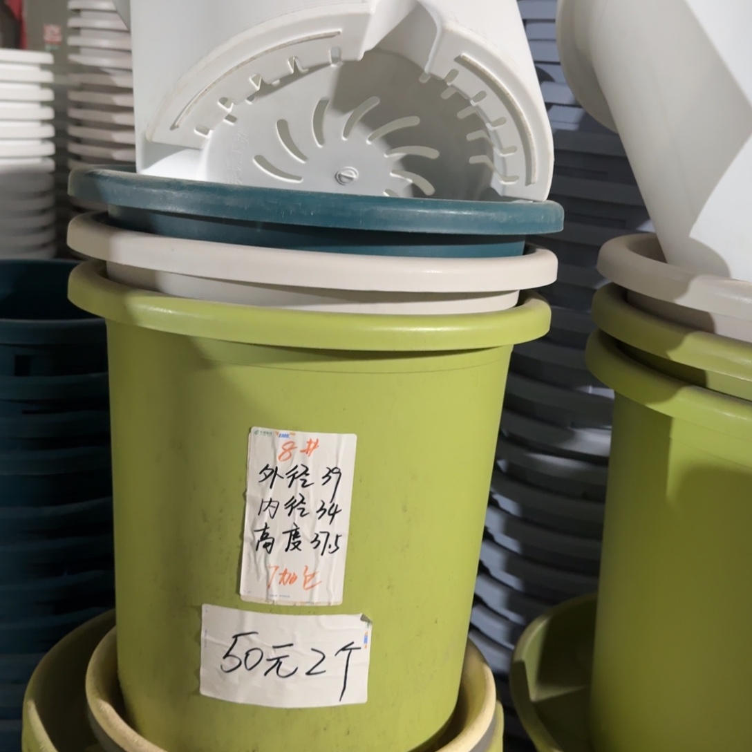 四季8#口径39带拖果绿5套