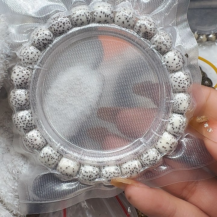 星月菩提手串336王者白星月菩提镶嵌10桶单圈