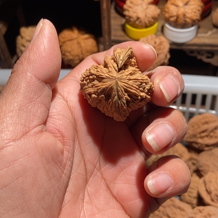 *****核桃南疆石角尺寸36满身黄