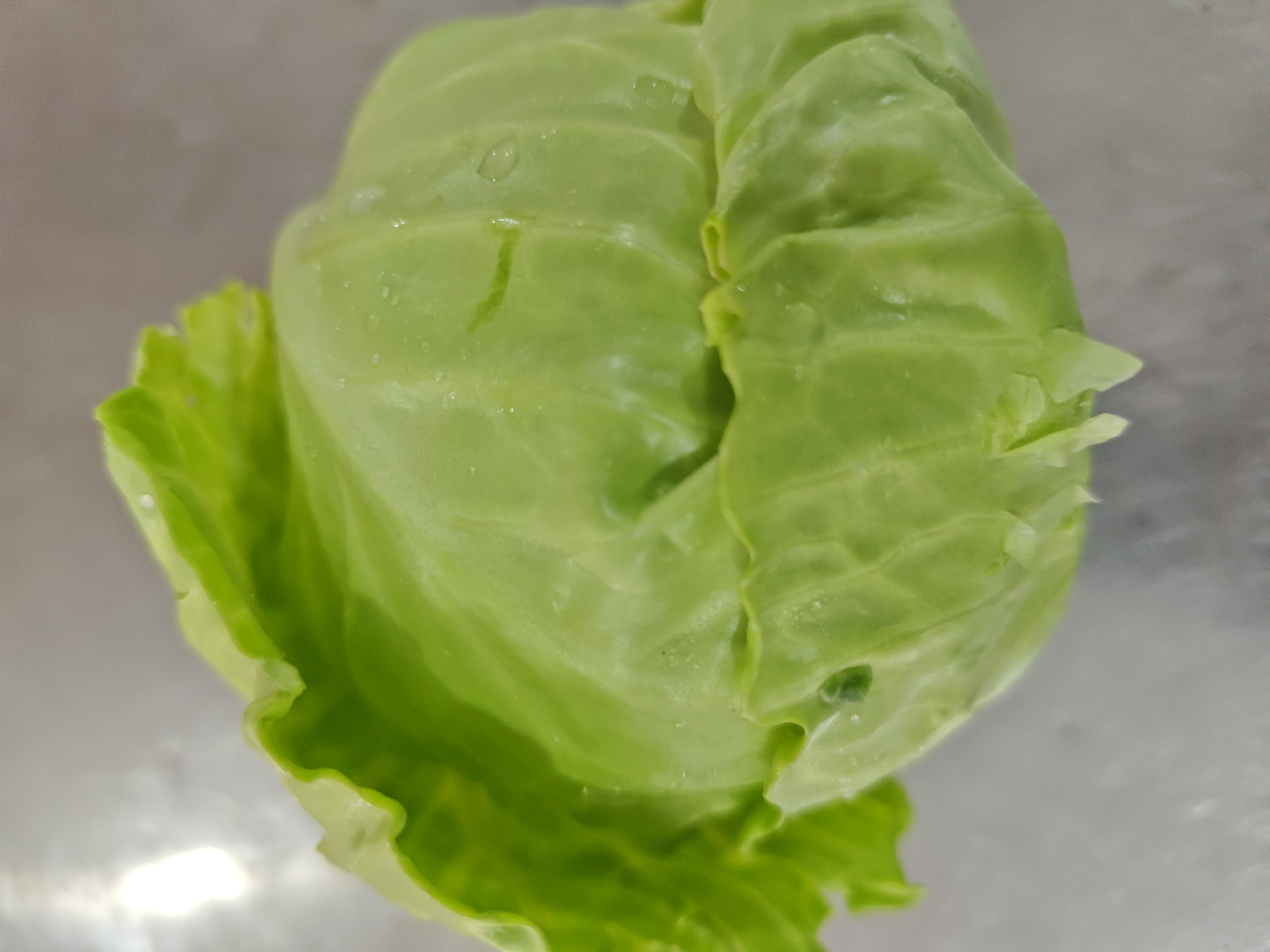 【韵达圆通】农户自销包菜5个