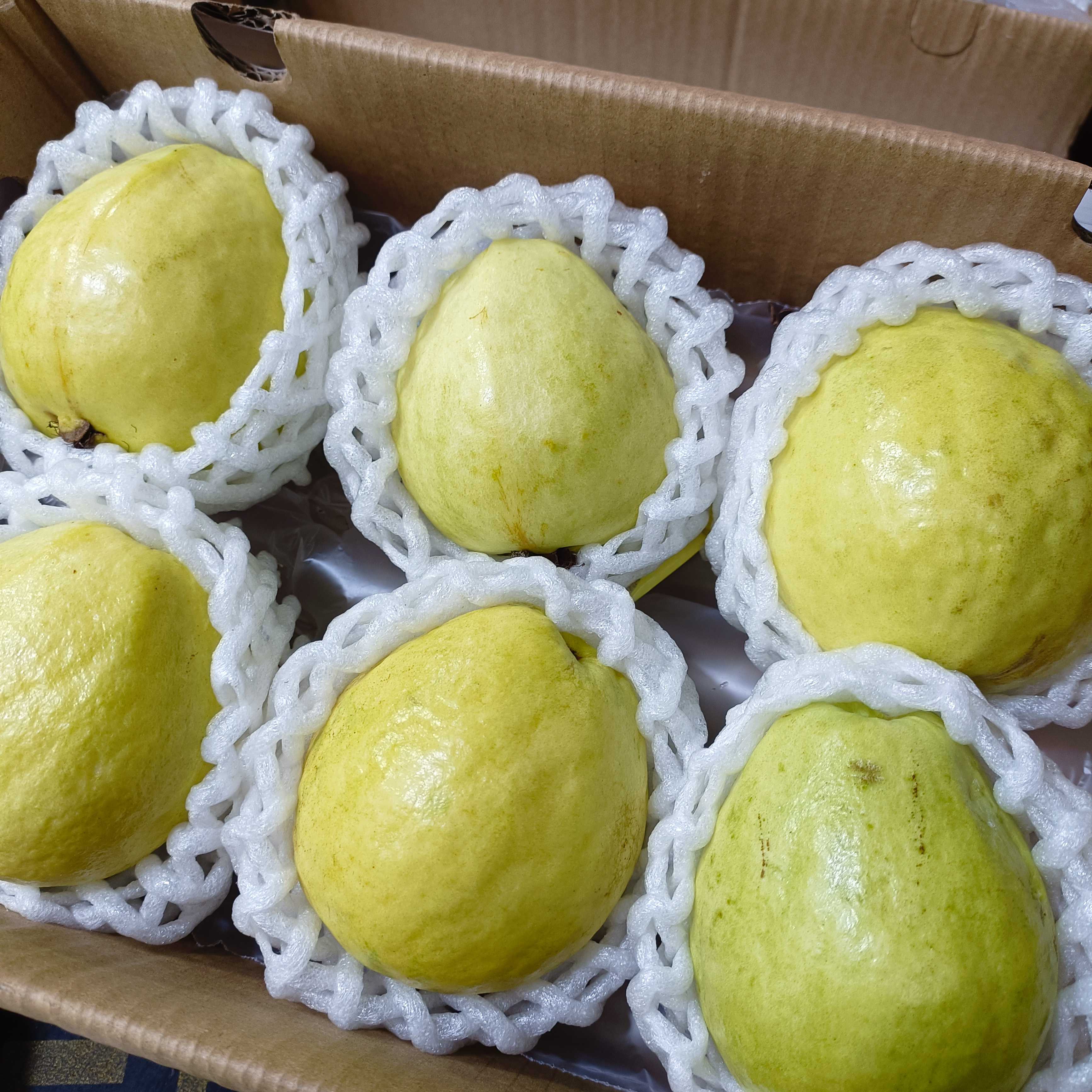 芭乐礼盒（坏果包赔）广西壮族自治区