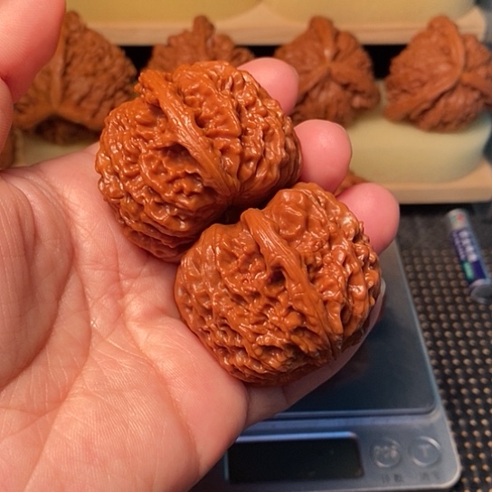 夜***衣吊坠文玩核桃核桃