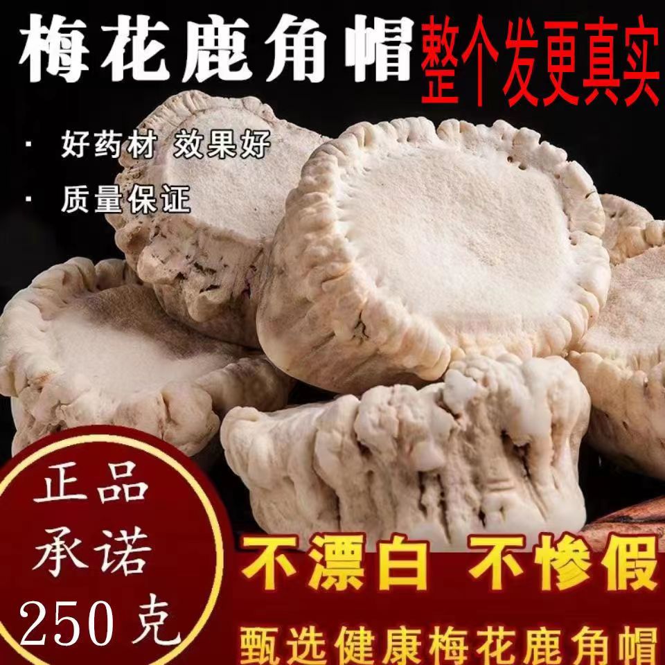 东北鹿乡梅花鹿鹿角帽现场加工