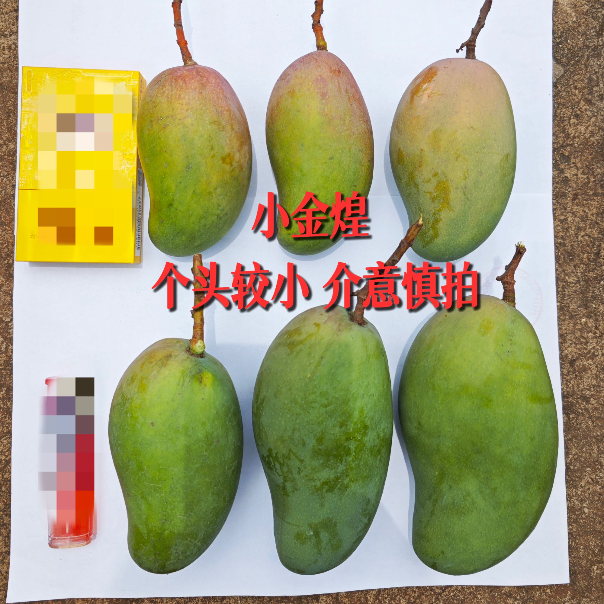 【中源果农 中通到货催熟放软后食用】四川攀枝花小金煌芒净重4.5斤
