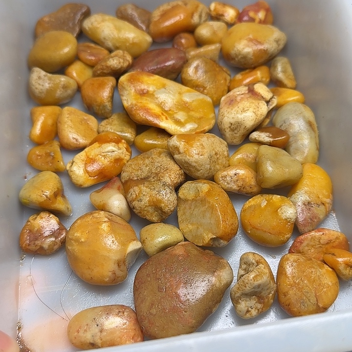 寿山石寿山石的种类