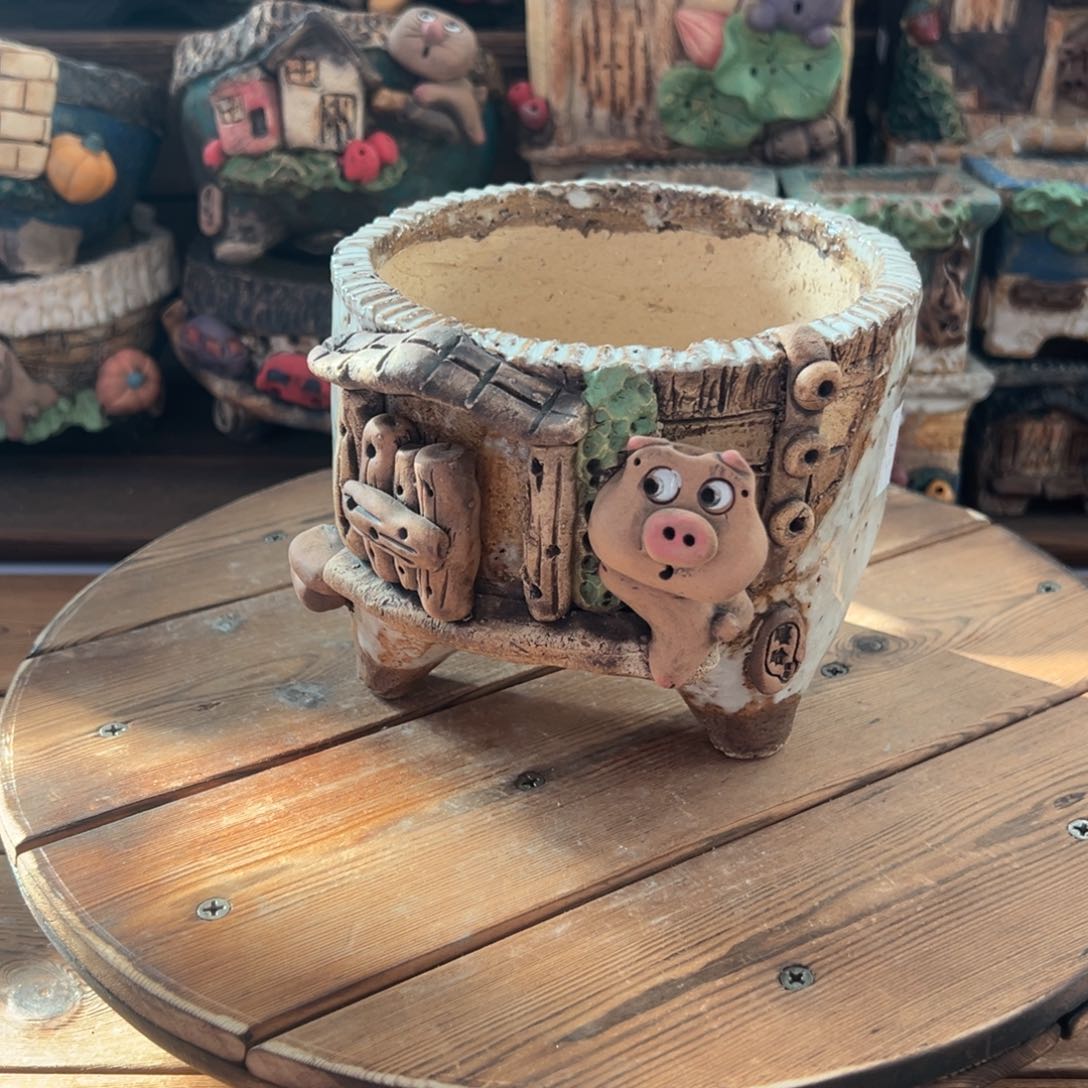 红陶嘻哈多肉花盆