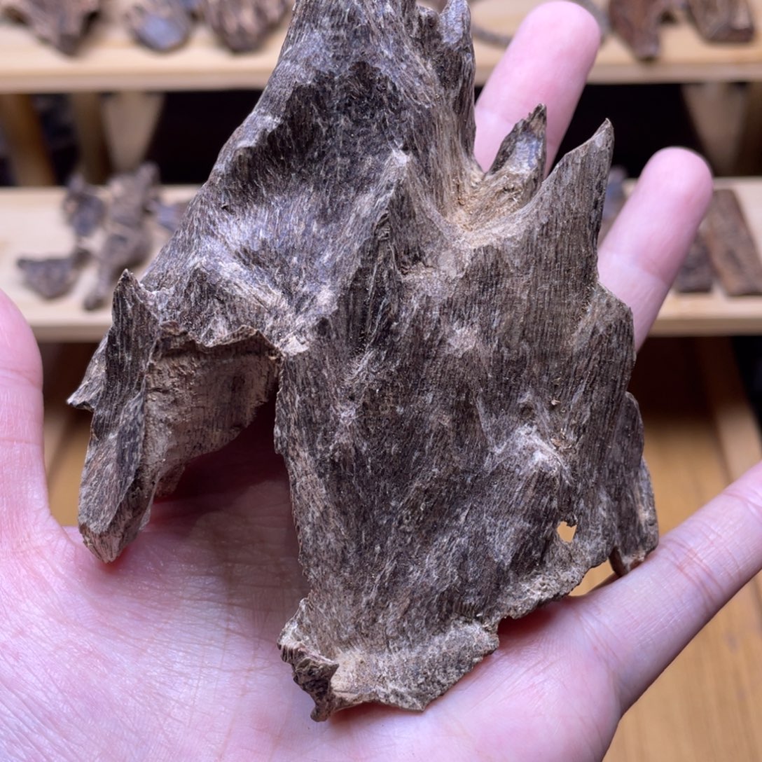 25.5克海南五指山老壳子香