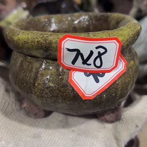 红陶粗陶花盆手工