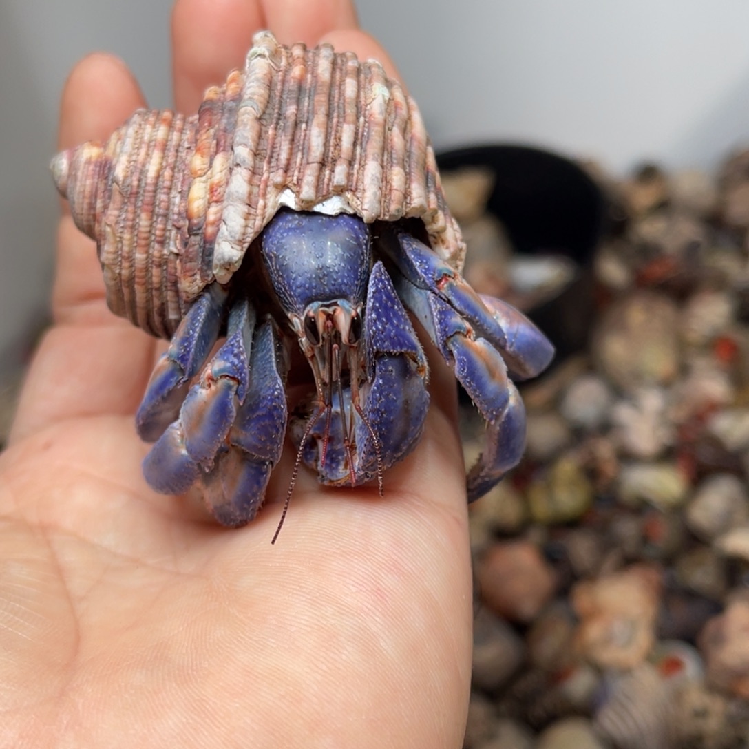 这里不方便吗不敢说话就在这呆吧