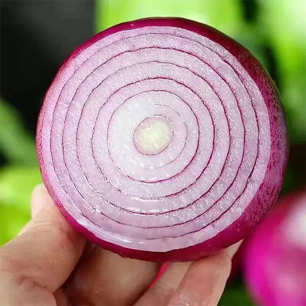 紫洋葱（去皮）430g-450g/份