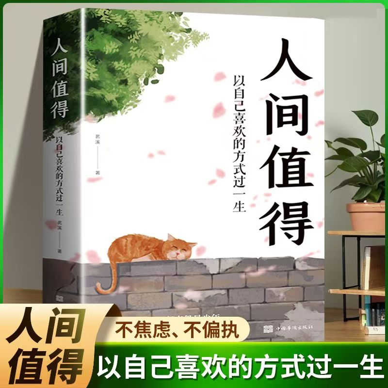 人间值得 以自己喜欢的方式过一生 当代文学励志书