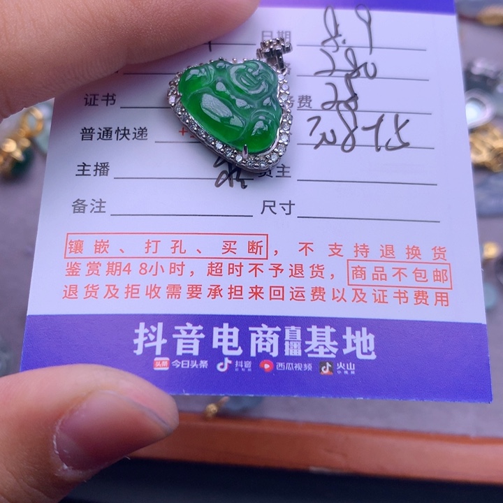 翡翠未镶嵌颈饰中****y