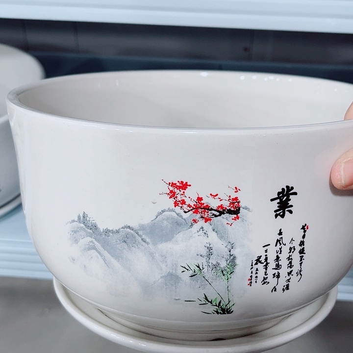 多肉花盆满10元包邮
