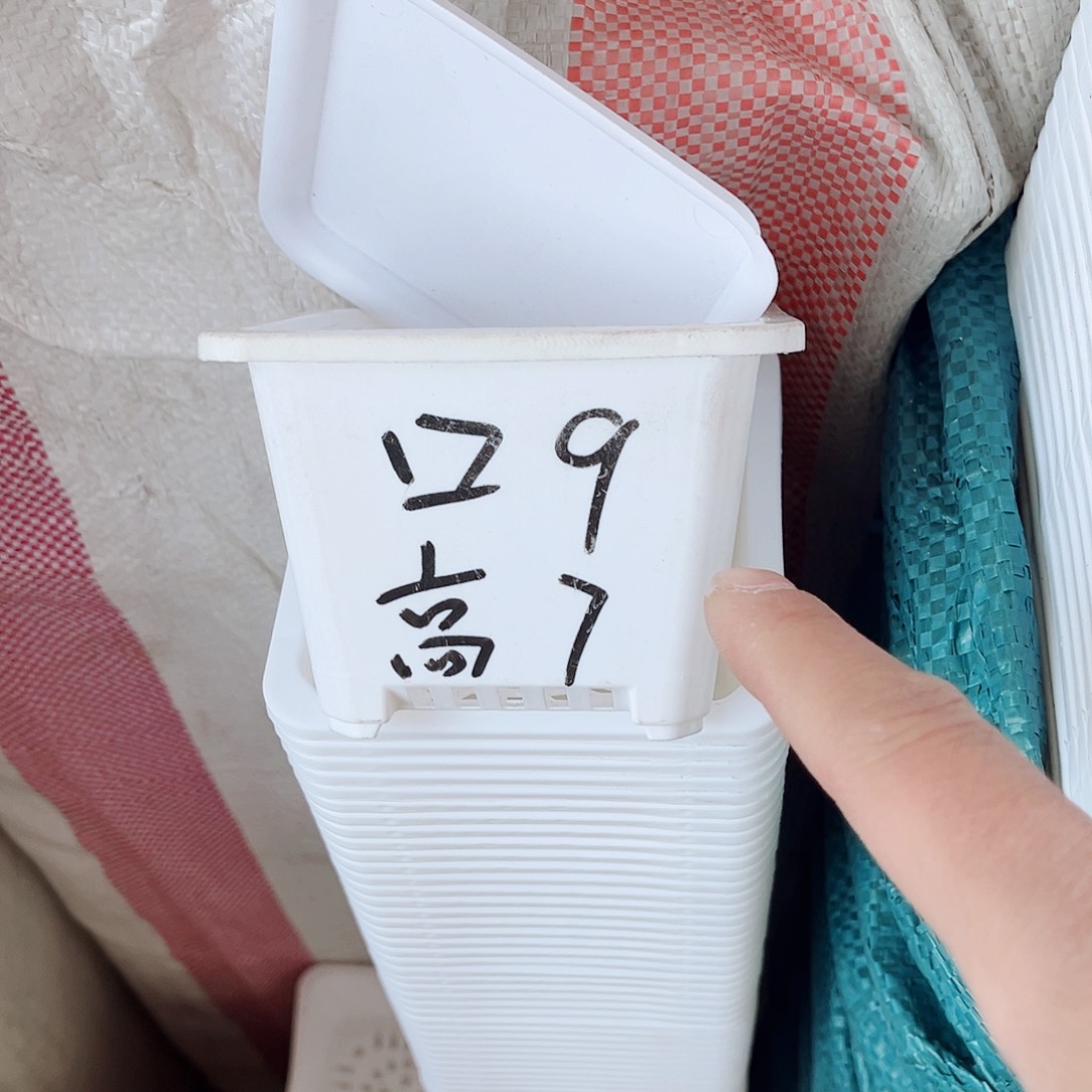 塑料福利款9方白色盆20个带托盘