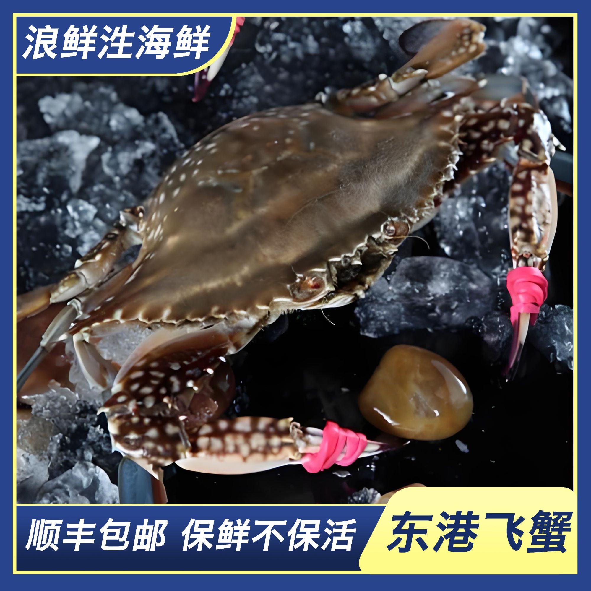 【保鲜不保活】东港海捕飞蟹  一斤两到3只