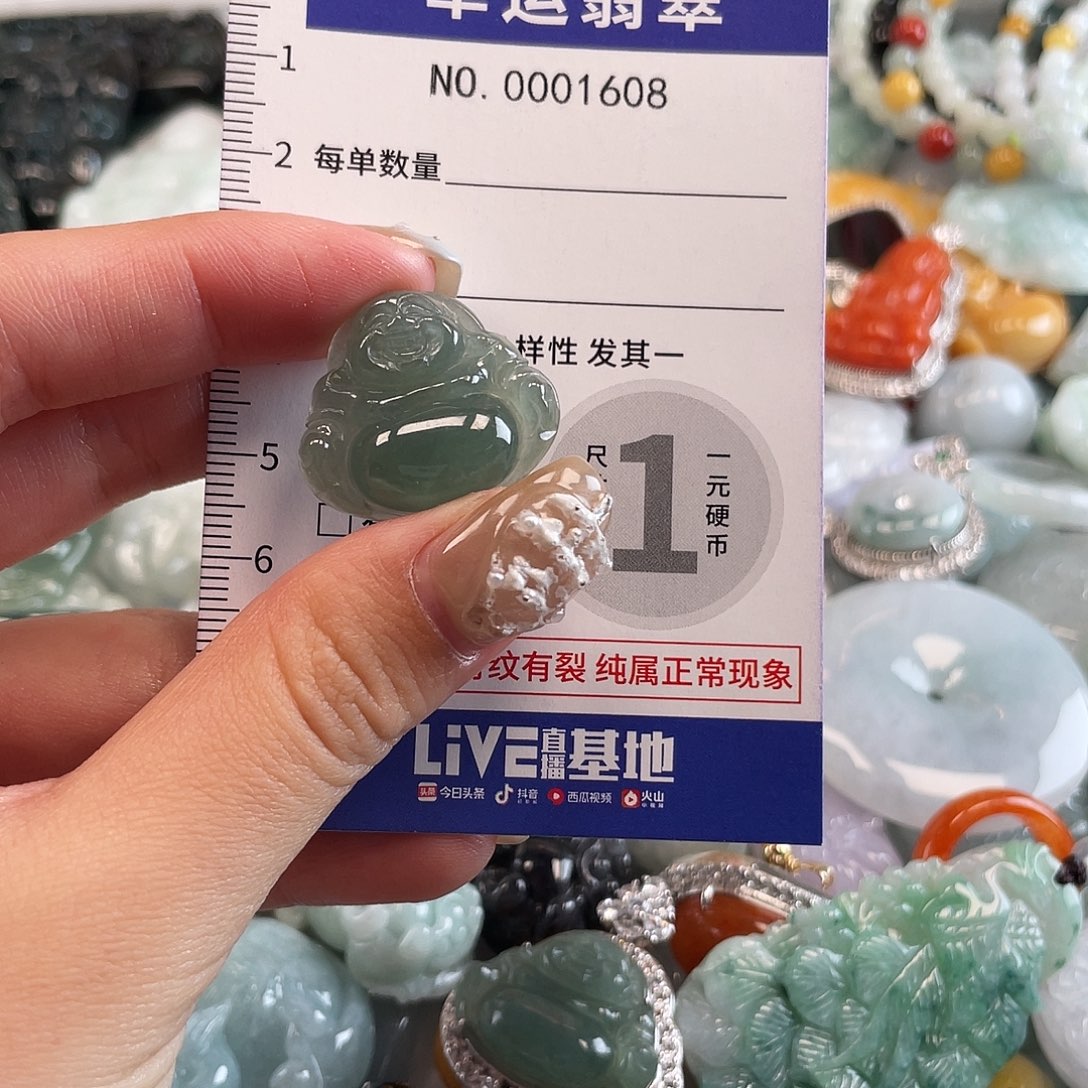 翡翠未镶嵌颈饰1608