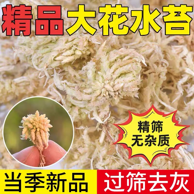 贵州水苔蝴蝶兰专用花束然水苔营养土批发营养土种菜专用椰壳粉