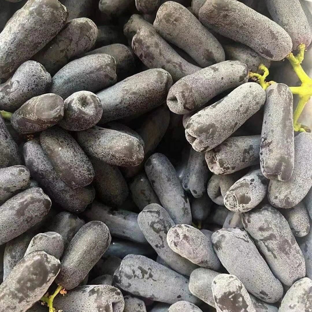 新鲜爆汁蓝宝石黑提江苏省