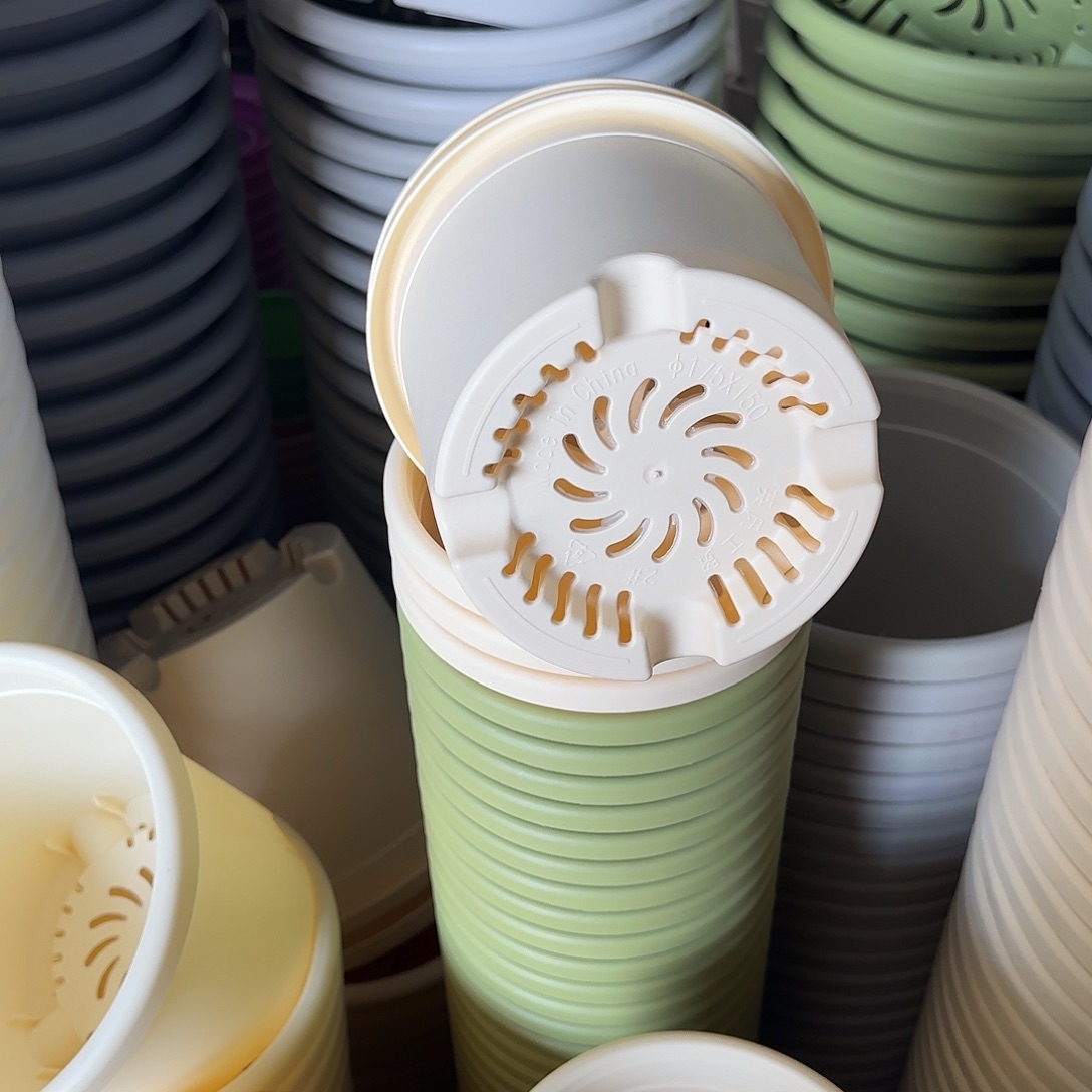 树脂四季2号无托12个白色微瑕