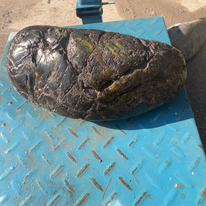 倍***赵蛇纹石玉未镶嵌原石8.5公斤