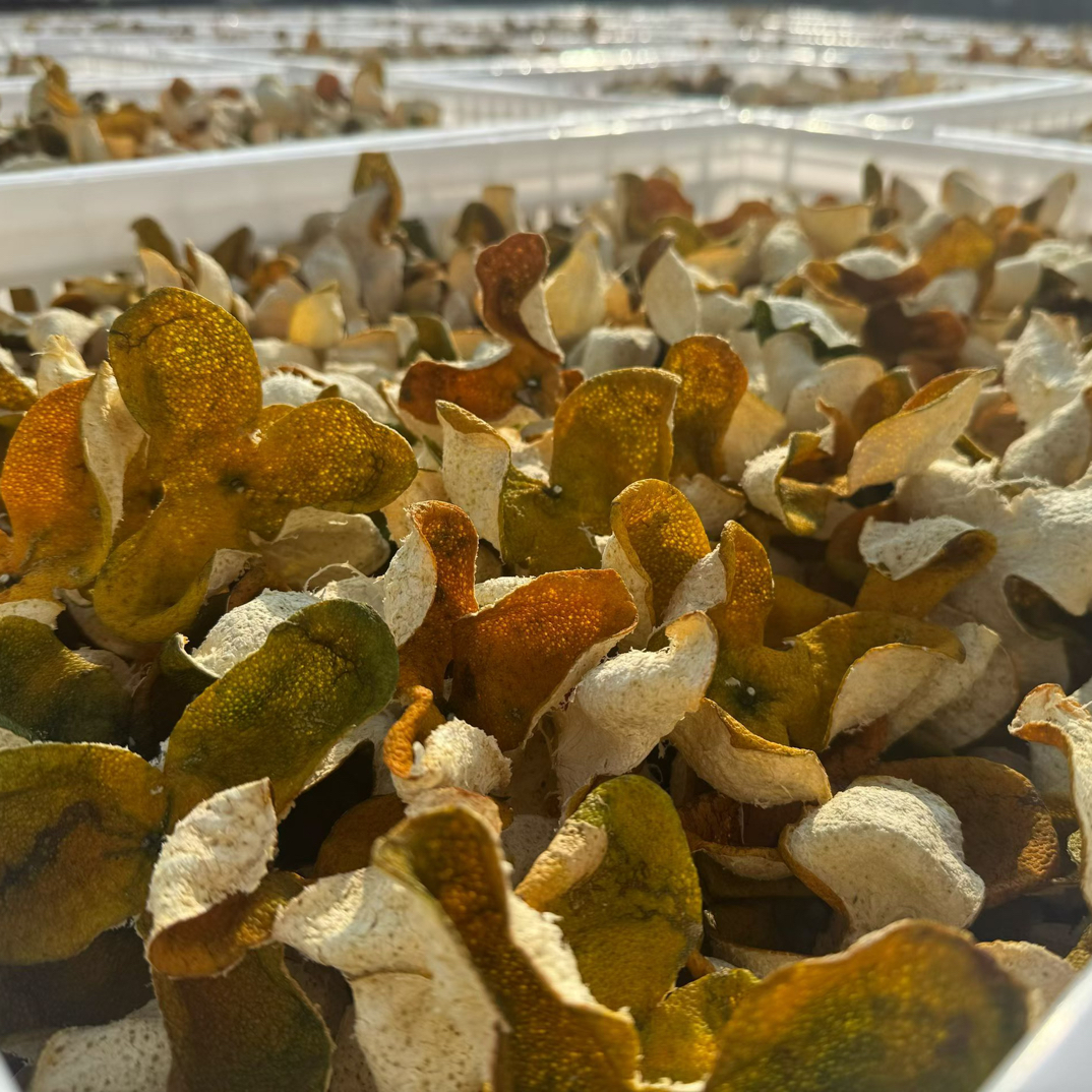 2025年梅江圈枝二红皮【花香浓郁、蜜甜沁人】