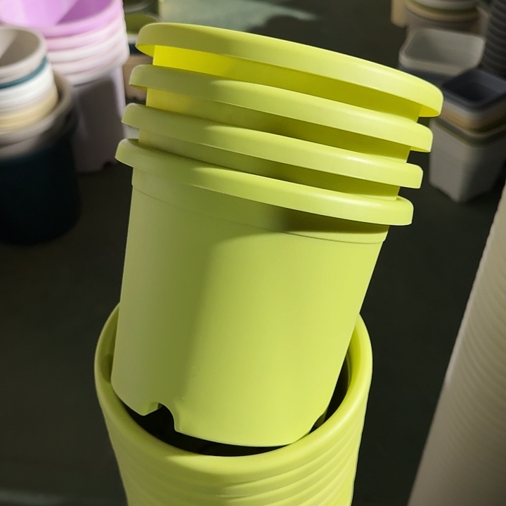 四季3#口径21果绿10个无托