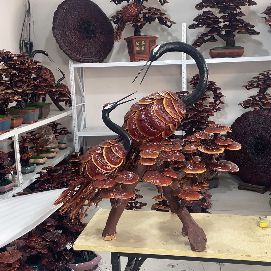 允***剧无花朵88888888888888888