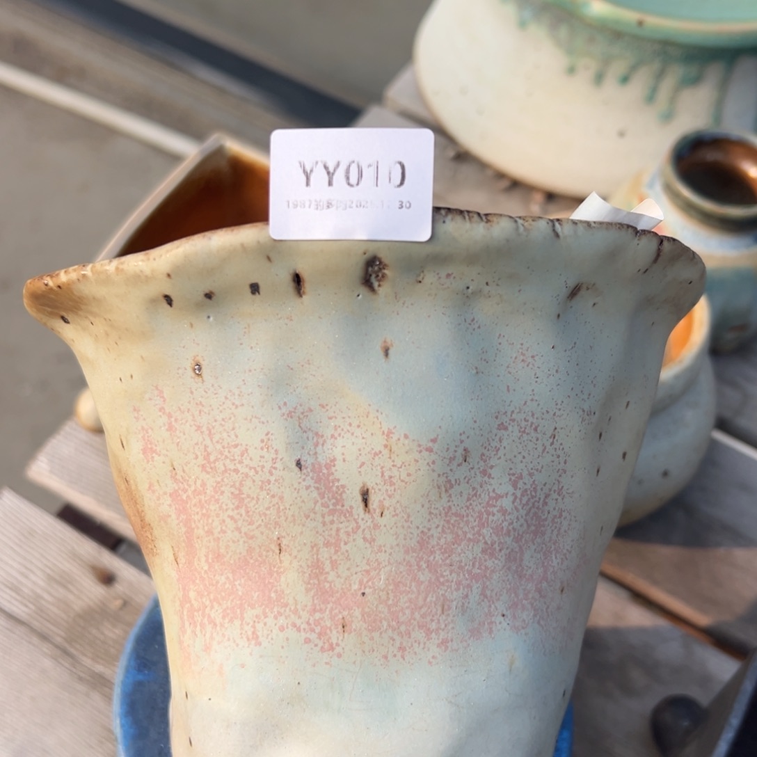 yy10粉海蓝汐金钟